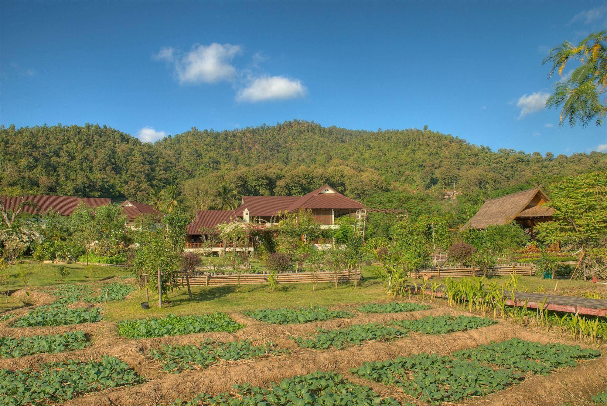 Maekok River Village Resort Mae Ai Dış mekan fotoğraf